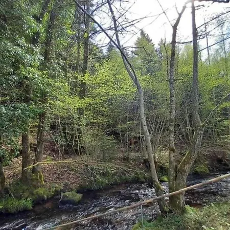 Chalet In Donon With Hiking Trails, Cleaning Included *