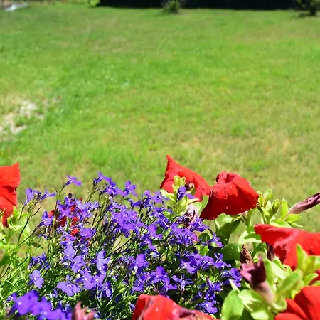 Chalet In Donon With Hiking Trails, Cleaning Included Saint-Quirin