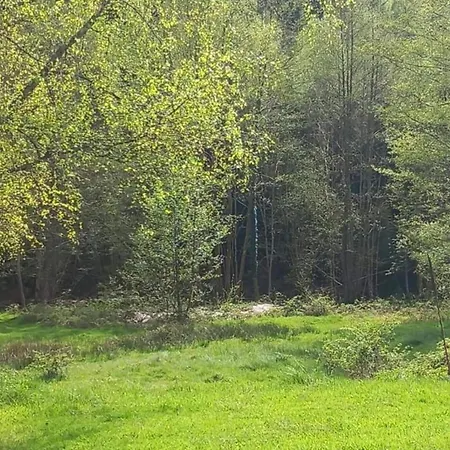 Chalet In Donon With Hiking Trails, Cleaning Included 木屋 *