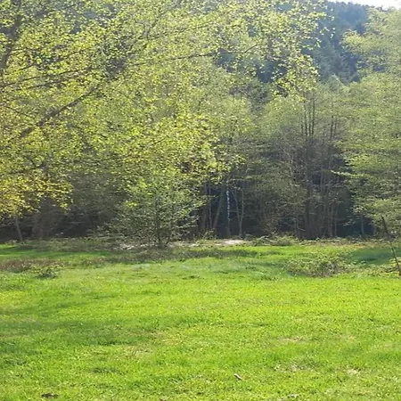 Chalet In Donon With Hiking Trails, Cleaning Included 木屋 Saint-Quirin