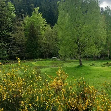 Chalet In Donon With Hiking Trails, Cleaning Included 木屋