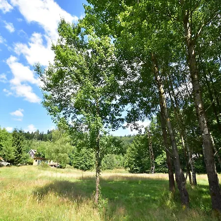 Chalet In Donon With Hiking Trails, Cleaning Included Alpstuga Saint-Quirin