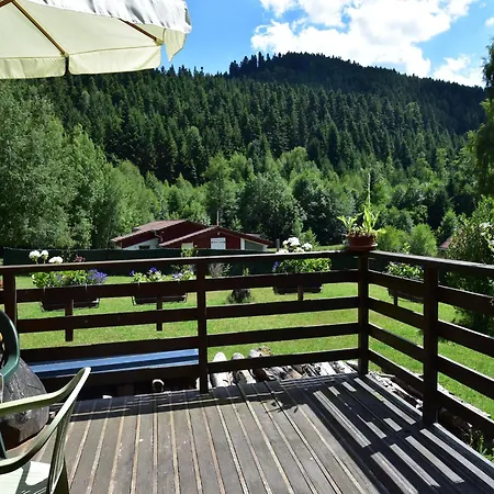 Chalet In Donon With Hiking Trails, Cleaning Included