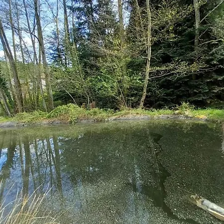 Chalet In Donon With Hiking Trails, Cleaning Included